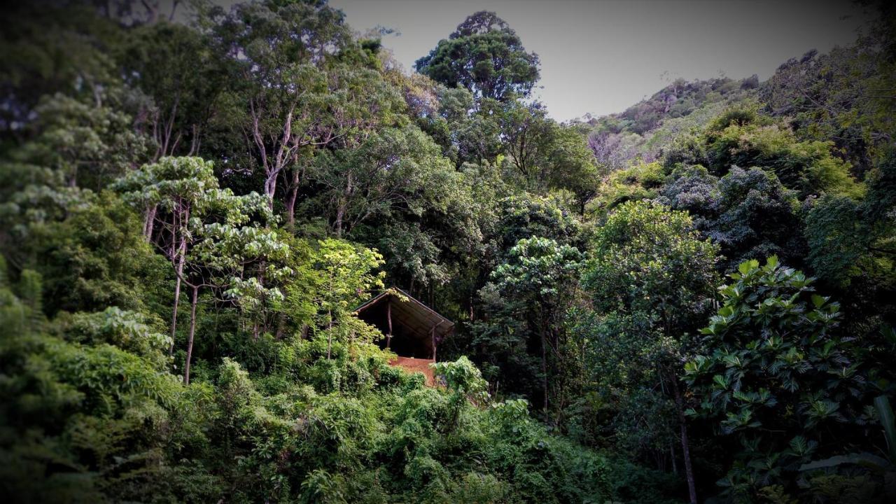 Chalet In The Jungle Pallegama エクステリア 写真