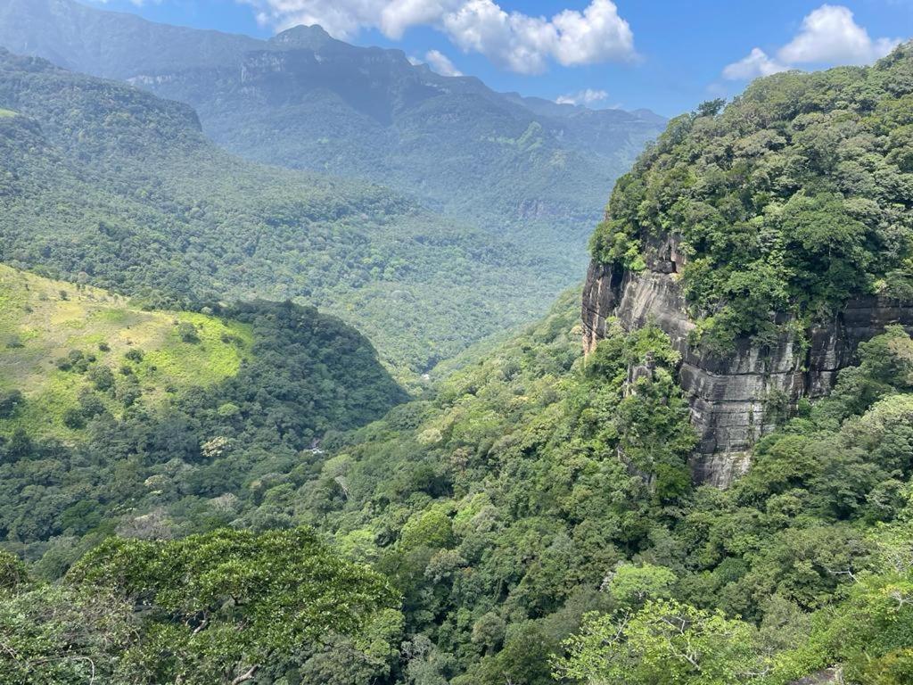 Chalet In The Jungle Pallegama エクステリア 写真