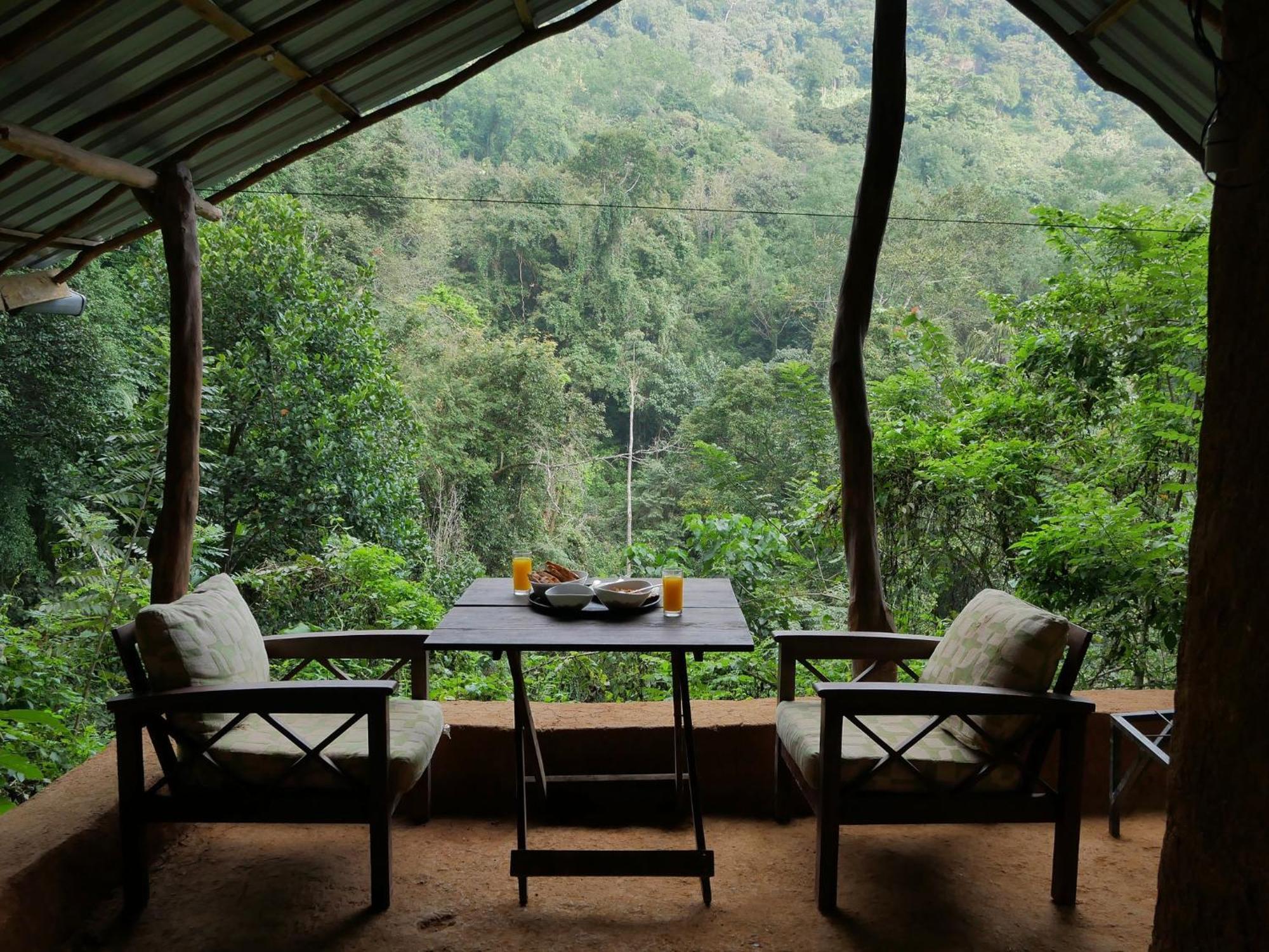 Chalet In The Jungle Pallegama 部屋 写真